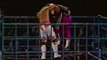 WWE - Bret Hart vs Shawn Michaels - Cage match (RARE)