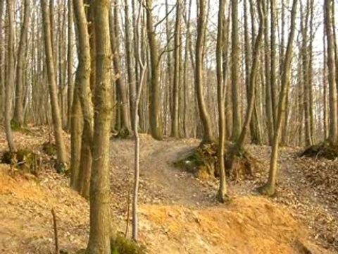 Antoine sauts a vtt versailles