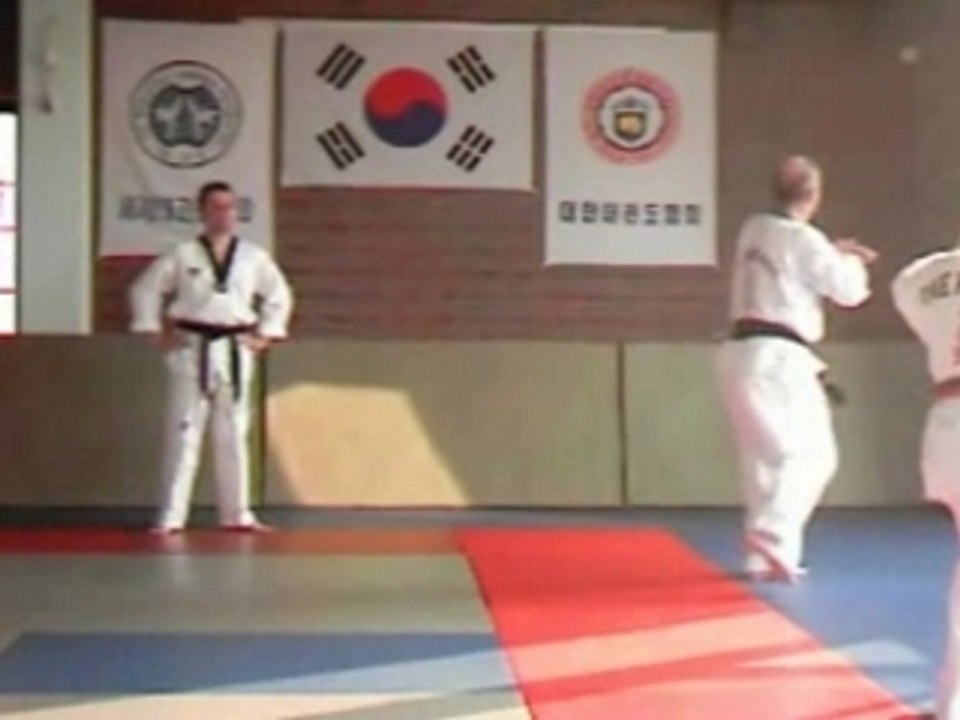 tae kwondo