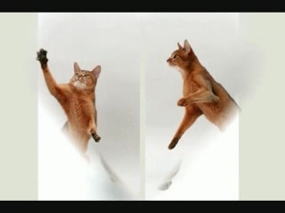 Chat_0001