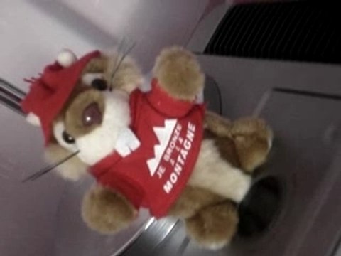 Là màrmOtte des brOnzés fOnt dù ski