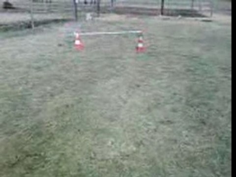 Moi a cheval ( petit obstacle de rien du tou ) 50cm