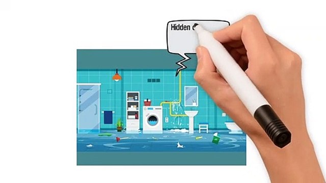 MT Drains & Waterproofing Company in Toronto