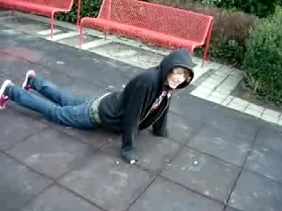 Chien,cobra