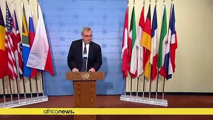 Libye : l'ONU appelle au respect de l'embargo des armes