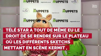 Instant Vintage : quand Télé Star rencontrait le créateur du Muppet show Jim Henson sur son plateau de tournage en 1978