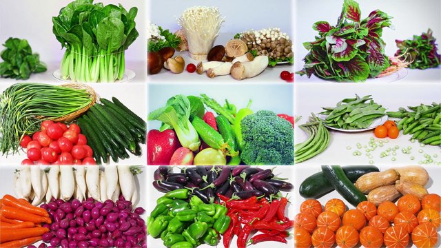 Música gospel Aquele que detém a soberania sobre tudo Clipe 3 - Deus governa e sustenta a humanidade e todas as coisas