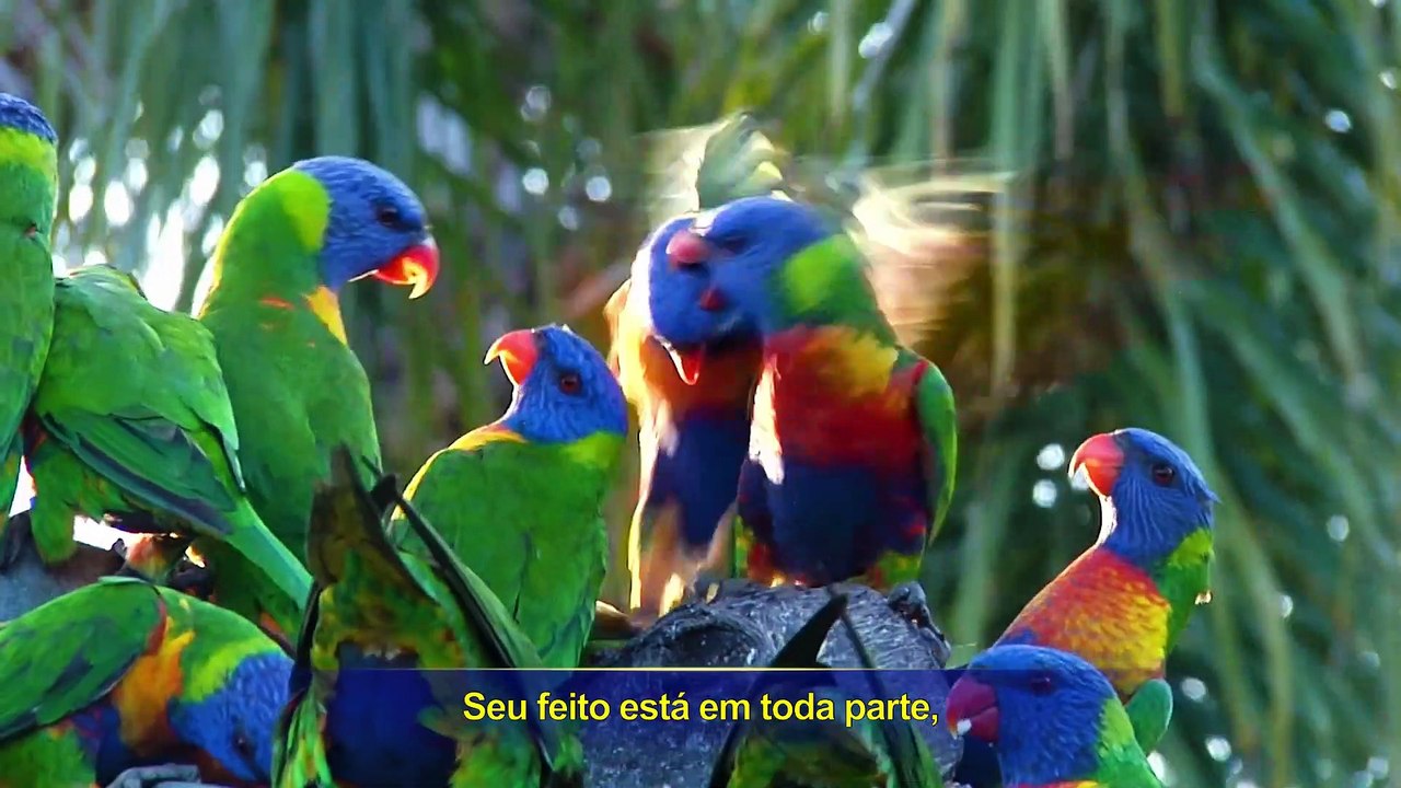 Música gospel "Aquele que detém a soberania sobre tudo" Clipe 4 - A criação do mundo de Deus