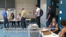 Landtagswahlen in Sachsen und Brandenburg begonnen