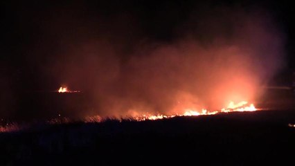 Field fire Muntham Farm Findon