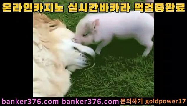 우리카지노 banker376.com pc카지노 golca95.com 도박 golca88.com 바카라필승법 golca77.com 올인구조대 banker19.com 바카라추천 banker376.com 홀덤 golca