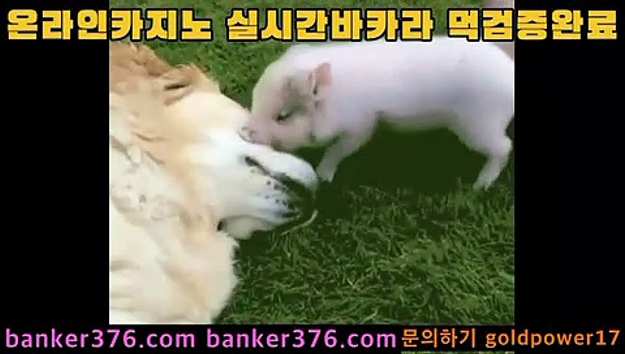 우리카지노     https://www.banker376.com    pc카지노       https://www.golca95.com 도박           https://www.golca88.com      바카라필승법   https://www.golca77.com 올인구조대     https://www.banker19.com     바카라추천     https://www.banker376.com 홀덤           https://www.golca