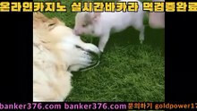 바카라사이트   https://www.golca77.com       카지노사이트   http://golca77.com 마이다스카지노 https://www.golca88.com 모바일카지노   https://www.golca95.com 카지노         https://www.banker376.com 개츠비카지노   https://www.banker19.com 온라인바카라   https://www.golca77.com COD카지노      https: