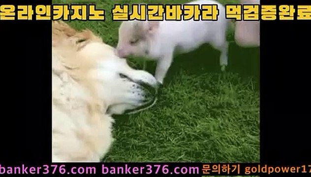 바카라사이트 golca77.com 카지노사이트 golca77.com 마이다스카지노 golca88.com 모바일카지노 golca95.com 카지노 banker376.com 개츠비카지노 banker19.com 온라인바카라 golca77.com COD카지노 https: