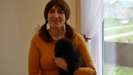 Mein neuer Pomeranian Wurf!