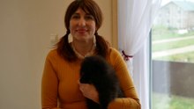 Mein neuer Pomeranian Wurf!