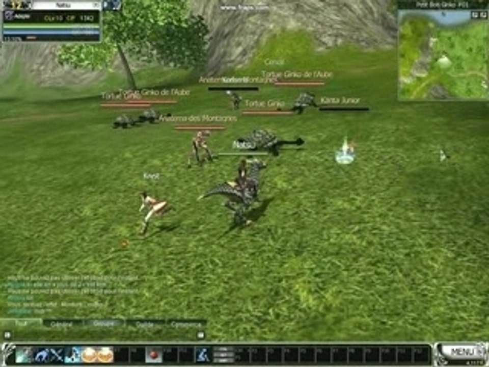 Rappelz le mmorpg
