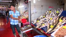 İstanbul-av yasağı bitti istanbul'da balık tezgahları şenlendi