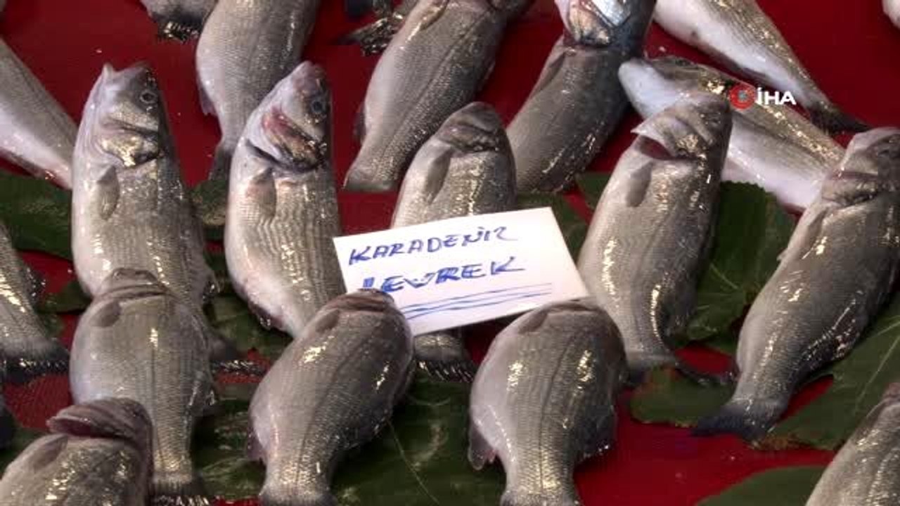 Balık tezgahlarında fiyatları, sezonun ilk gününde cep yakıyor