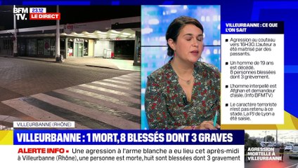 Villeurbanne : le profil psychologique du suspect