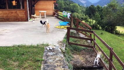 Petits gardiens au chalet