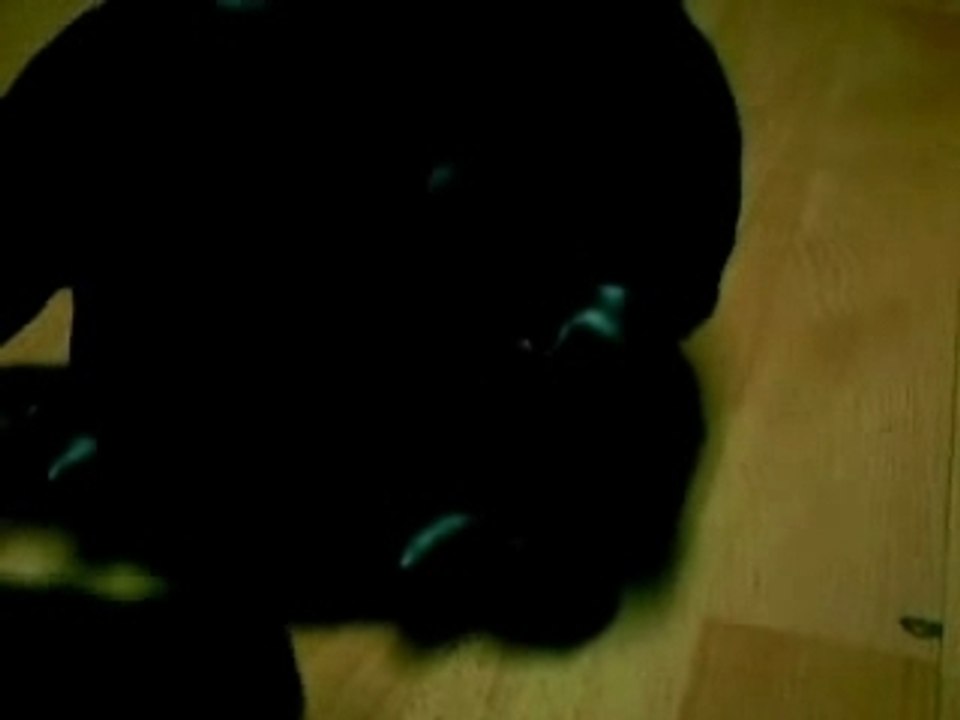 saison2 Episode 1