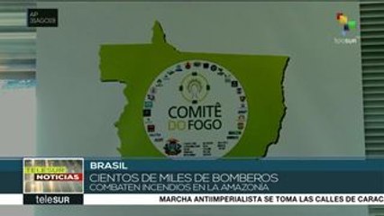 Brasil: cientos de miles de bomberos combaten incendios en la Amazonía