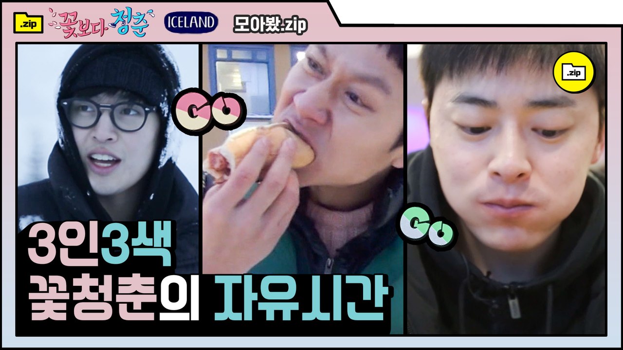 [#모아봤zip] 꽃청춘 자유여행!! 본격 아이슬란드 VLOG 막 찍어도 오지는 풍경 + 3인 3색 위꼴 모먼트 | #꽃보다청춘 | #Diggle