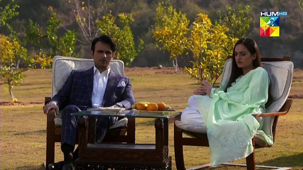 Anaa - Epi 29 - HUM TV Drama - September 1, 2019 || Anaa (1/9/2019)