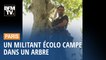 Un homme campe dans un arbre à Paris pour sauver des arbres dans le Gers