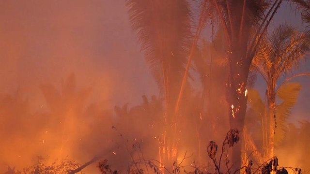 Bolsonaro vuelve autorizar el uso de fuego para cultivos en regiones fuera del Amazonas