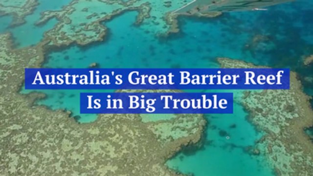 The Great Barrier Reef Is Damaged By Climate Change