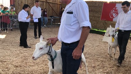 La Gaubretière. La Fête de l’agriculture a fait le plein de visiteurs