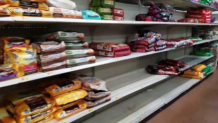 Essential supplies - for people and pets - selling out in North Carolina before Hurricane Dorian