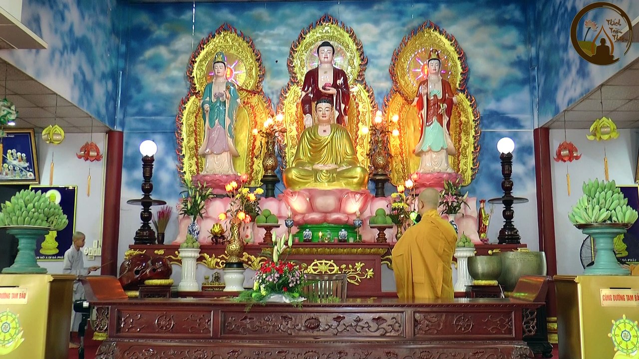 Ý nghĩa của việc cầu siêu (1/4) - ÐÐ. Thích Toàn Thiện