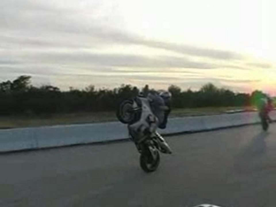 PurBredRiders - chasecrossover