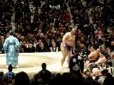 Combat sumo tokyo 2008