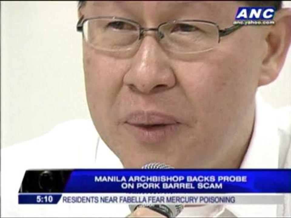 Tagle backs probe on pork barrel scam
