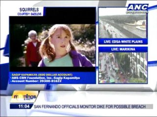 Watch trailer of indie horror movie 'Squirrels'