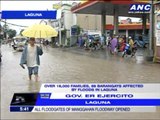 16,000 families affected by Laguna floods