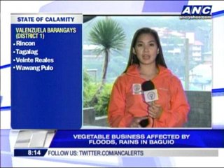 In Benguet, cabbages sold for P1 a kilo