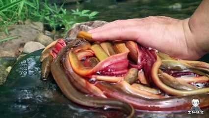 Freshwater Eels Cooking and Eating (Yummy  feast in the wild)