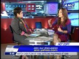 Napoles doesn't own 30 houses: lawyer