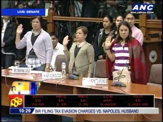 More whistleblowers appear before Senate inquiry