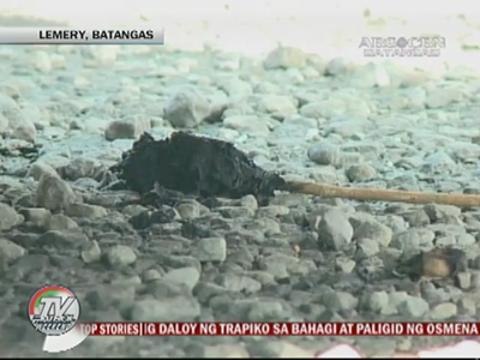 Suspected NPA rebels burn buses in Batangas