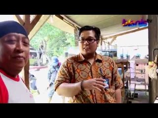 Kilau Rezeki dari Ikan Neon Tetra