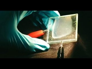 Memanfaatkan Kaca untuk Panel Surya - Bisnis Pagi Edisi 4 Oktober 2017 (3/3)