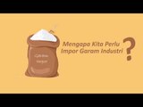 Mengapa Kita Perlu Impor Garam Industri