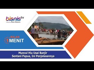 Muncul Hiu Usai Banjir Sentani Papua, Ini Penjelasannya