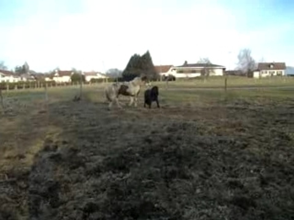 MOV00497